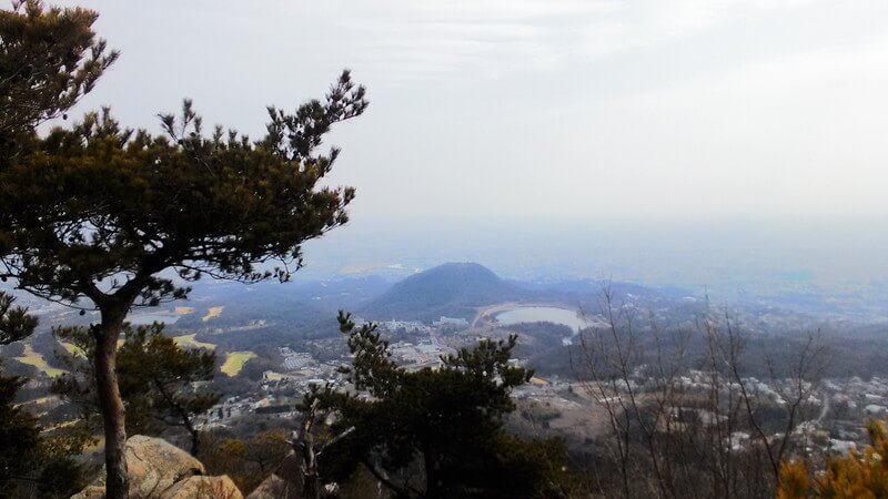 観音山ハイキング ２度目の登山は倒木を超えて 親子であそぼ よ